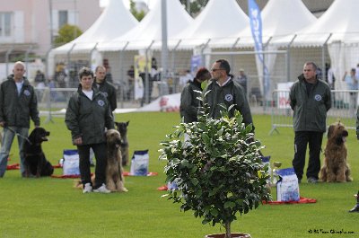 Remise des Prix 080.JPG - CHIENPLUS.COM